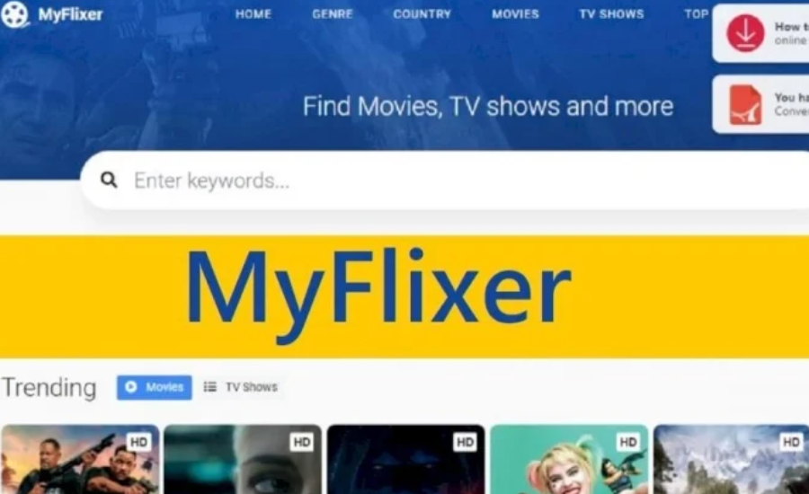 MyFlixerz