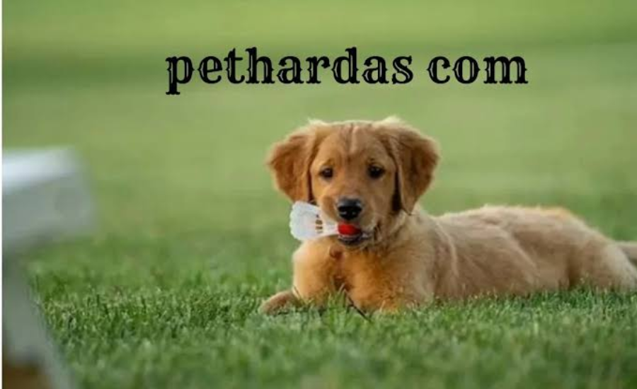 pethardas com